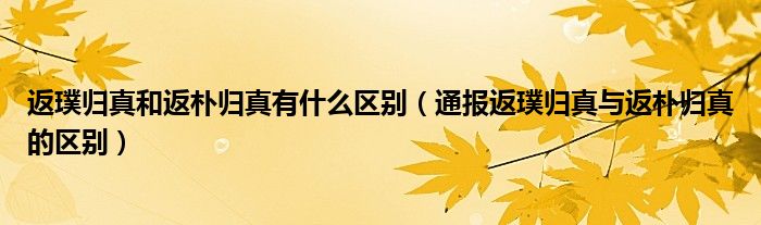 返璞归真和返朴归真有什么区别（通报返璞归真与返朴归真的区别）