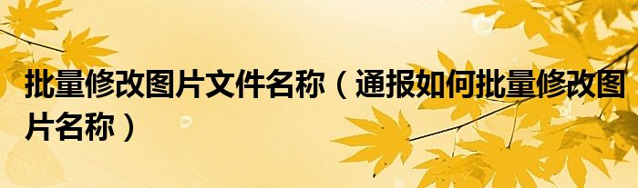 批量修改图片文件名称（通报如何批量修改图片名称）