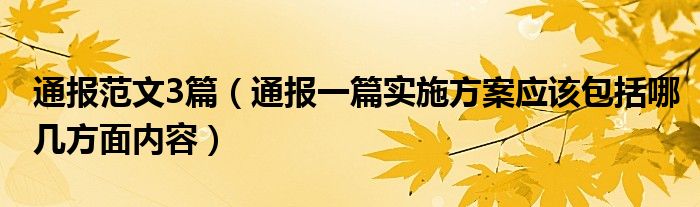 通报范文3篇（通报一篇实施方案应该包括哪几方面内容）