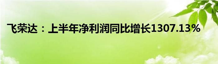 飞荣达：上半年净利润同比增长1307.13%