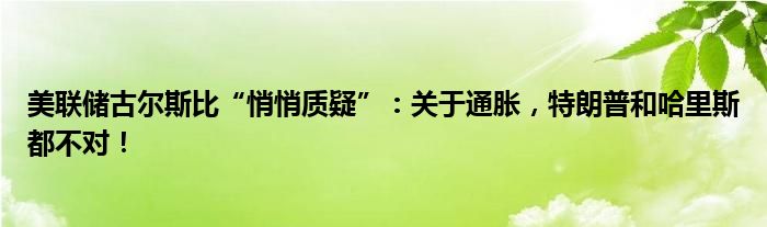 美联储古尔斯比“悄悄质疑”：关于通胀，特朗普和哈里斯都不对！