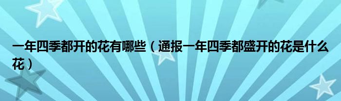 一年四季都开的花有哪些（通报一年四季都盛开的花是什么花）