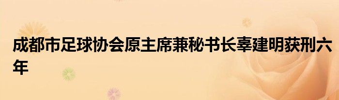 成都市足球协会原主席兼秘书长辜建明获刑六年