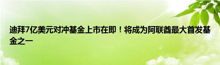 迪拜7亿美元对冲基金上市在即！将成为阿联酋最大首发基金之一