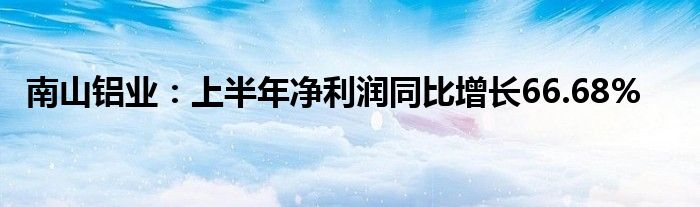 南山铝业：上半年净利润同比增长66.68%