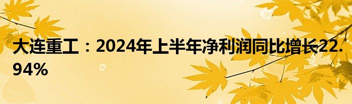 大连重工：2024年上半年净利润同比增长22.94%