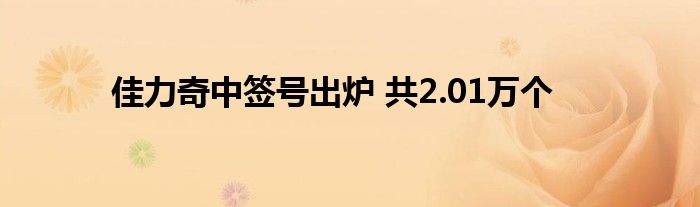 佳力奇中签号出炉 共2.01万个