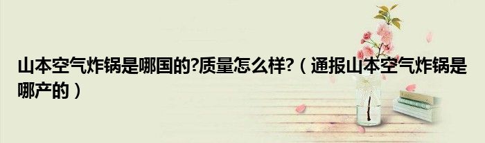 山本空气炸锅是哪国的?质量怎么样?（通报山本空气炸锅是哪产的）