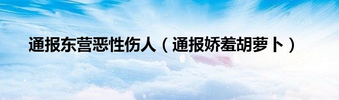 通报东营恶性伤人（通报娇羞胡萝卜）