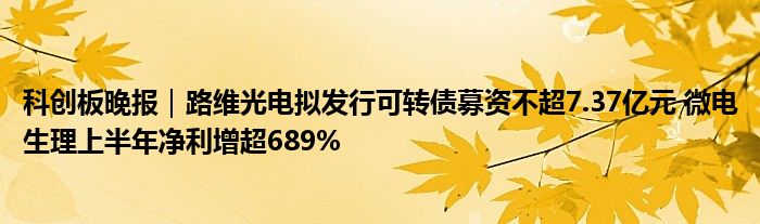 科创板晚报｜路维光电拟发行可转债募资不超7.37亿元 微电生理上半年净利增超689%