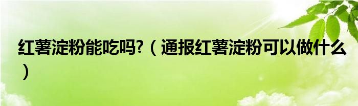 红薯淀粉能吃吗?（通报红薯淀粉可以做什么）