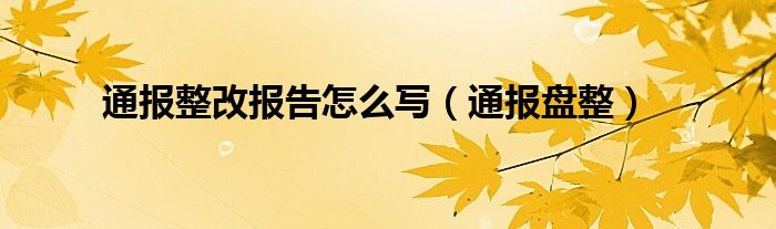 通报整改报告怎么写（通报盘整）