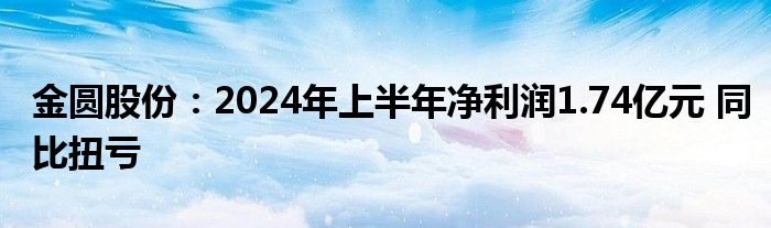 金圆股份：2024年上半年净利润1.74亿元 同比扭亏