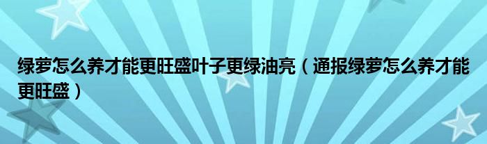 绿萝怎么养才能更旺盛叶子更绿油亮（通报绿萝怎么养才能更旺盛）