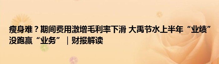 瘦身难？期间费用激增毛利率下滑 大禹节水上半年“业绩”没跑赢“业务”｜财报解读