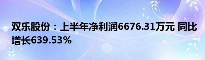 双乐股份：上半年净利润6676.31万元 同比增长639.53%