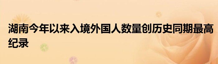 湖南今年以来入境外国人数量创历史同期最高纪录