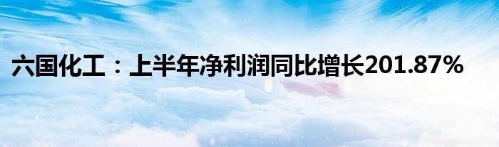 六国化工：上半年净利润同比增长201.87%