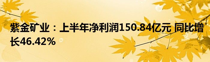 紫金矿业：上半年净利润150.84亿元 同比增长46.42%