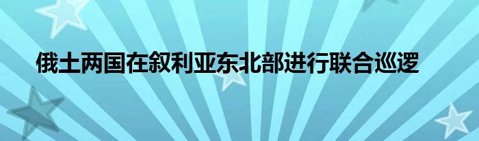 俄土两国在叙利亚东北部进行联合巡逻