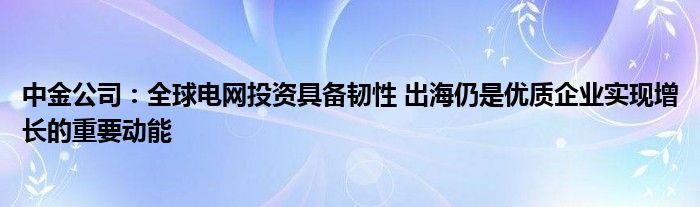 中金公司：全球电网投资具备韧性 出海仍是优质企业实现增长的重要动能