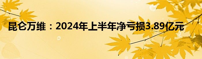 昆仑万维：2024年上半年净亏损3.89亿元