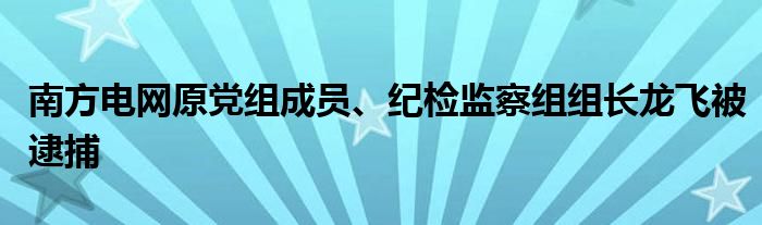 南方电网原党组成员、纪检监察组组长龙飞被逮捕