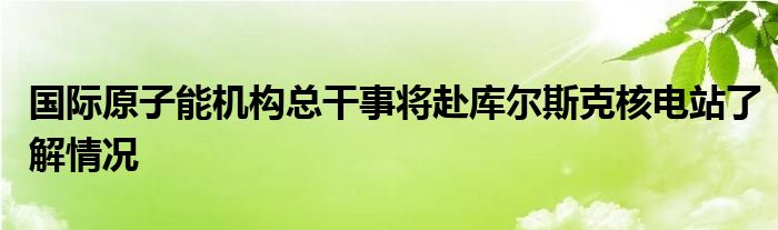 国际原子能机构总干事将赴库尔斯克核电站了解情况