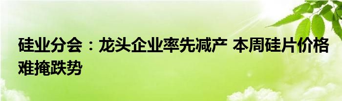 硅业分会：龙头企业率先减产 本周硅片价格难掩跌势