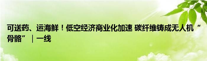 可送药、运海鲜！低空经济商业化加速 碳纤维铸成无人机“骨骼”｜一线