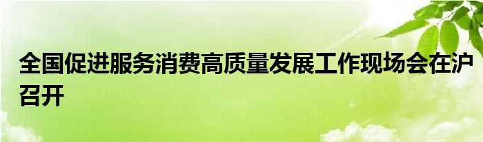 全国促进服务消费高质量发展工作现场会在沪召开