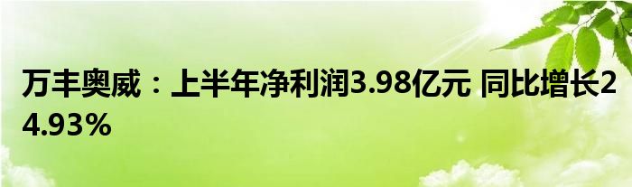 万丰奥威：上半年净利润3.98亿元 同比增长24.93%