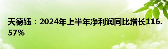 天德钰：2024年上半年净利润同比增长116.57%