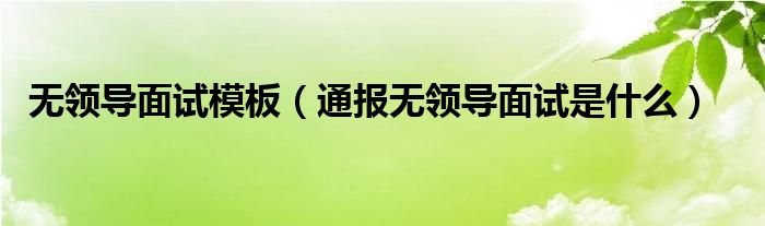 无领导面试模板（通报无领导面试是什么）