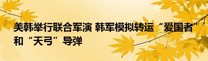 美韩举行联合军演 韩军模拟转运“爱国者”和“天弓”导弹