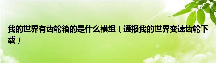 我的世界有齿轮箱的是什么模组（通报我的世界变速齿轮下载）