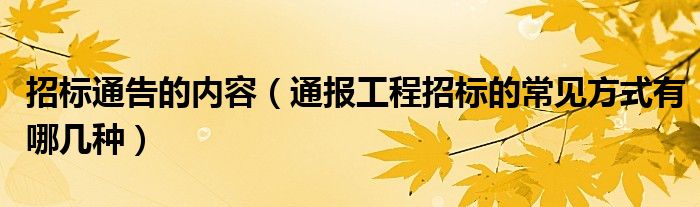 招标通告的内容（通报工程招标的常见方式有哪几种）