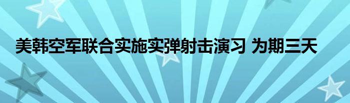 美韩空军联合实施实弹射击演习 为期三天