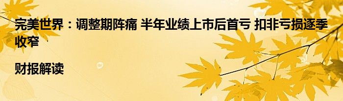 完美世界：调整期阵痛 半年业绩上市后首亏 扣非亏损逐季收窄|财报解读