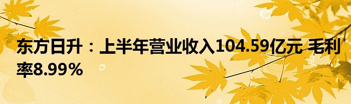 东方日升：上半年营业收入104.59亿元 毛利率8.99%