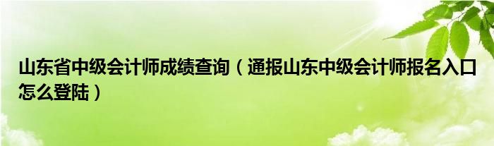 山东省中级会计师成绩查询（通报山东中级会计师报名入口怎么登陆）