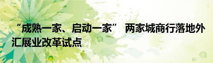 “成熟一家、启动一家” 两家城商行落地外汇展业改革试点