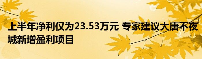 上半年净利仅为23.53万元 专家建议大唐不夜城新增盈利项目