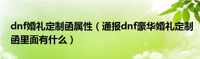 dnf婚礼定制函属性（通报dnf豪华婚礼定制函里面有什么）