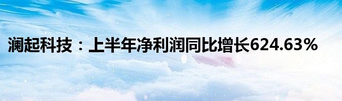 澜起科技：上半年净利润同比增长624.63%