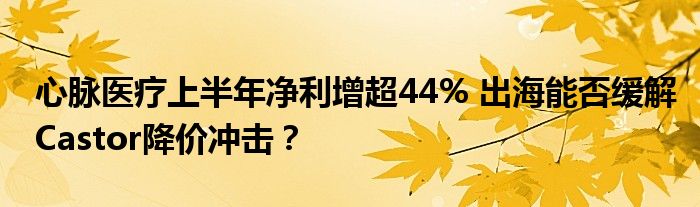 心脉医疗上半年净利增超44% 出海能否缓解Castor降价冲击？