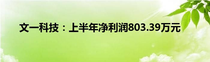 文一科技：上半年净利润803.39万元