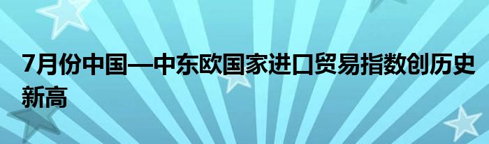 7月份中国—中东欧国家进口贸易指数创历史新高