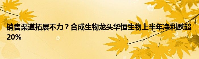 销售渠道拓展不力？合成生物龙头华恒生物上半年净利跌超20%