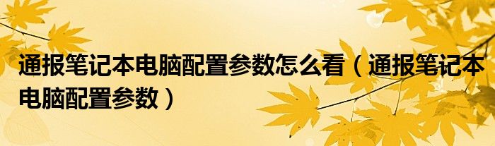 通报笔记本电脑配置参数怎么看（通报笔记本电脑配置参数）